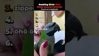 #140 Ranking Birds That Mimic Sounds Perfectly