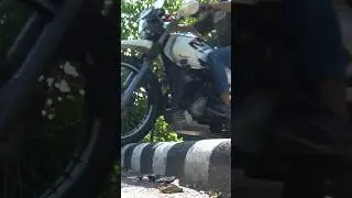 Hero xpulse 200 4v #xpulse200 #shortsfeed #viral #youtubeshorts #ytshorts #travel #ride #stunt