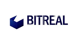 Bitreal Capital Logo Animation