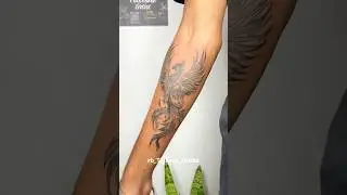 Phoenix tattoo 💥#phoenix #phoenixtattoo #drigon #tattoo #tattooartist #forearms