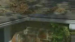 Gutter Helmet - Never Clean Your Gutters Again