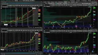 Market Madness!!!!! Support Zones! or edge of the cliff???? Best News! Active Stocks!
