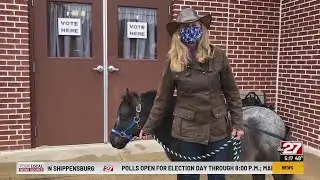 York County polling place gets a visit from a mini therapy horse