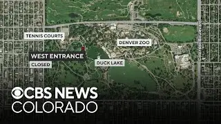Denver Zoo considers reopening West Entrance near Duck Lake in City Park