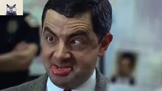 Funny Collections # 24