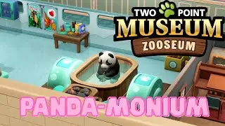 Is this a Museum or a Day Spa for Panda's?! 🐼♨️