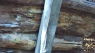 Scope Cam at Robinhood walk on game