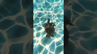 #lifereflection