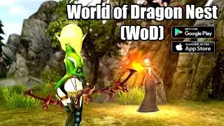 This is Open World of Dragon Nest!! | World of Dragon Nest (WoD)