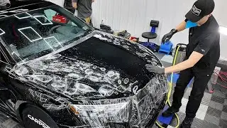 AUDI RS3: PPF Install on the Hood!