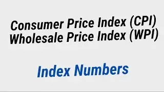 CPI & WPI Explained | Consumer and Wholesale Price Index | Statistics & Economics | Abid Talks