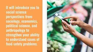 Food safety in context and global food system