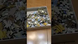 Opening a Buffalo Games jigsaw puzzle, 500 random cut pieces. #jigsawpuzzle #quiettimeactivity