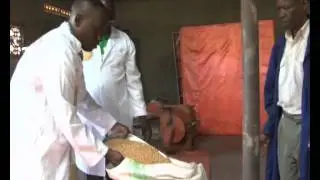 Fake agricultural inputs hinder development of agribusiness