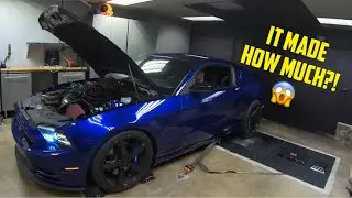 Whipple 2014 Mustang 5.0 Hits the Dyno!