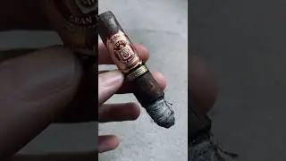 Smoking The Arturo Fuente Hemingway Short Story #cigars #cigar #asmr #shorts #viral #cigarlounge