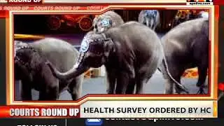 DELHI HC RULING ON CIRCUS ANIMALS: HEALTH SURVEY OF CIRCUS ANIMALS