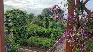 Warzywnik i szklarnia🍅🫑🧅Pomidory, papryka,ogórki..Zbiory i przetwory🧺Pracy nie ubywa🧤