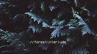 ://forest interlude-chill wave/lofi trap/dark wave/synth wave type beat