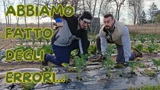 NO DIG: 3 ERRORI che abbiamo fatto (e ora correggiamo) 🌱❌