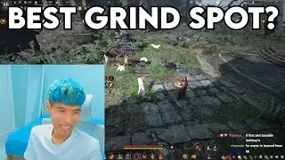 BDO - Best Grinding Spot? | Black Desert Highlights