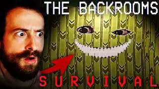 Can We Survive in the Backrooms?! | Backrooms Survival (Gameplay)
