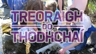 Treoraigh do Thodhchai 2025 - Comhoibriú idir Academy of the Near Future agus Gaelbhratach