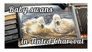 Baby Swans Art 💕 Tinted Charcoal and Graphite blocks