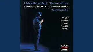 J.S. Bach: Suite No. 2 in B minor, BWV 1067: 7. Badinerie