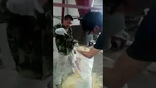 High-Efficiency Raymond Mill Grinding Ore into Superfine Powder | Industrial Machine