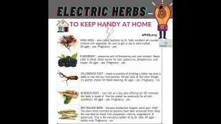 Electric Herbs