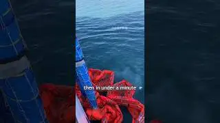 🚢 Life-Saving Rafts That Deploy in Under a Minute! #MaritimeSafety #OceanTech #LifeRaft