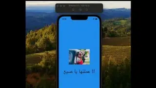 BOUNCING WITH SCALING || Flutter Animations