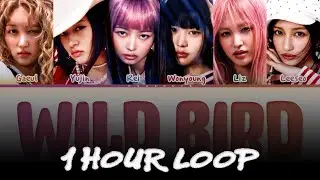 [1 HOUR] IVE Wild Bird Lyrics (Color Coded Lyrics)