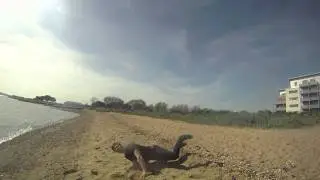 One day at the park