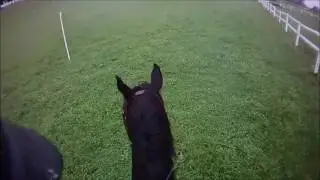 Highland Green Stable - Fall 2016 Event (Training Level)