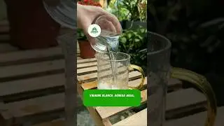 Esto es oro para tus plantas #jardineria #plantas #garden #gardening #plants #gardeningtips