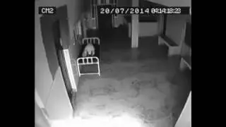Real Devil catch on camera