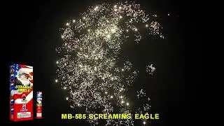 Screaming Eagle 24 pack MB-585