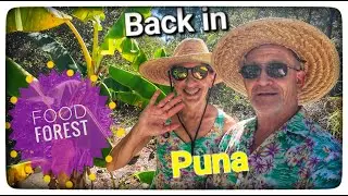 Puna visit update of our Offgrid Food Forest property