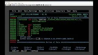 How to add Sequence no in a file through SORT | All About Mainframes