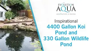 Evolution Aqua Nexus 320+ Automatic... 4400 Gallon Koi pond and 330 Gallon Natural Pond
