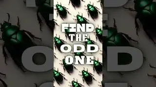 FIND THE ODD ONE🪲#shots#youtubeshorts#youtube#game#emoji#emojichallenge#puzzle#challenge