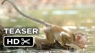 Monkey Kingdom TEASER 1 (2015) - Disneynature Documentary HD
