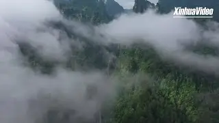 Incredible mountain scenery in central China