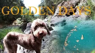Sniping Gold Canyon