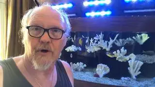 Evaporative Cooling in Aquariums. An inexpensive alternative.