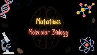 Mutations types and causes - الطفرات أنواعها ومسبباتها - Molecular Biology - تعلم بالعربي