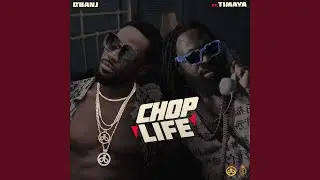 Chop Life (feat. Timaya)