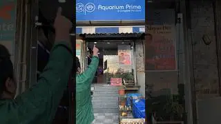 Jaipur&rsquo;s best Aquarium Store 😍 #aquarium #fishtank #jaipur #shopping #fishshop #youtubeshorts #fish